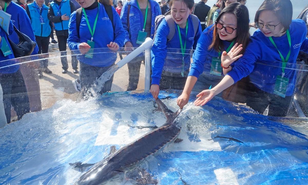 People take part in an activity to release more than 20,000 second-filial-generation Chinese sturgeons into the Yangtze River in Yichang, Central China's Hubei Province, on March 28, 2024. Throughout 2024, the Ministry of Agriculture and Rural Affairs will organize the release of over 1 million Chinese sturgeons, the highest number of releases in recent years. Photo: VCG