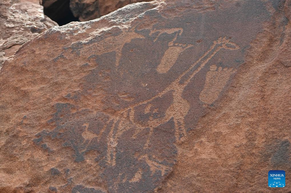 This photo taken on March 26, 2024 shows an engraved slab at the Twyfelfontein rock engraving site in Kunene Region, Namibia. Twyfelfontein is one of the largest and most concentrated sites of rock engravings in Africa to date. The site was recognized by UNESCO as Namibia's first World Heritage in 2007.(Photo: Xinhua)