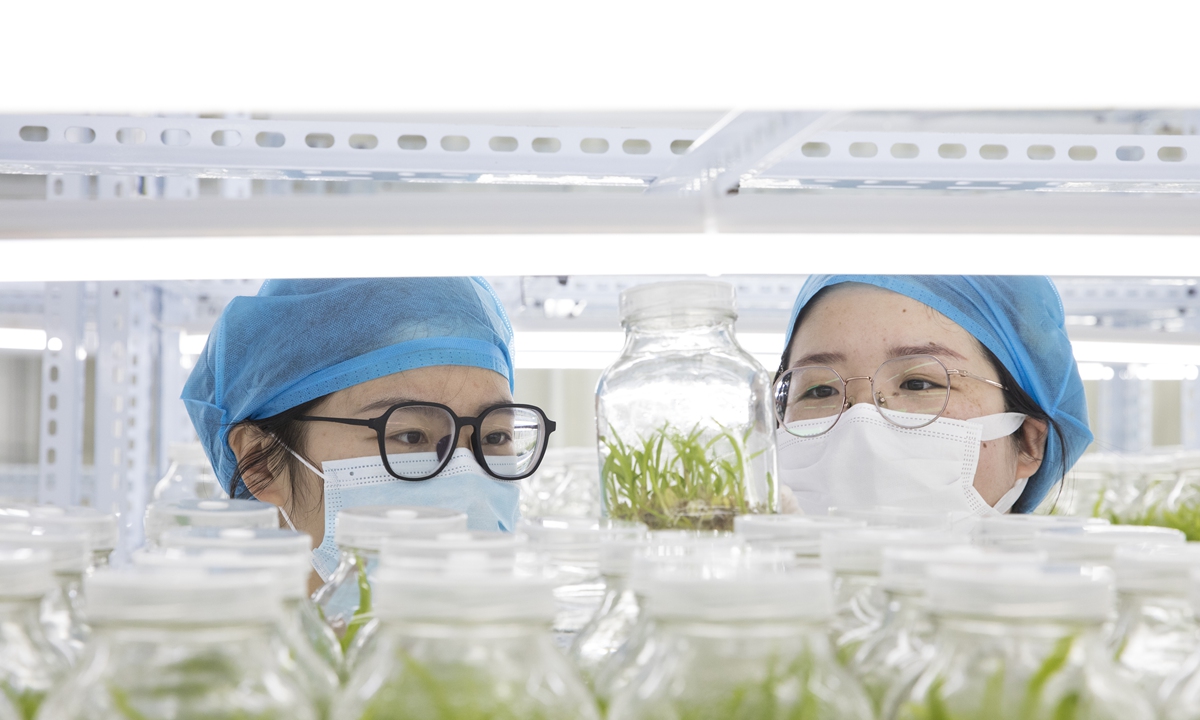 Workers inspect tissue-cultured saplings at the Chinese Academy of Agricultural Sciences Donghai Agricultural Comprehensive Experimental Station in Donghai county,<strong>collectible metal lunch boxes manufacturer</strong> Lianyungang, East China's Jiangsu Province, on February 29, 2024.Photo: VCG