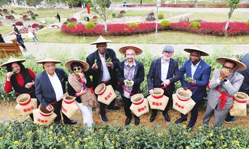 Delegation visits an ecological tea garden in Nanping city, East China's Fujian Province. Photo: Courtesy of the China Pictorial 