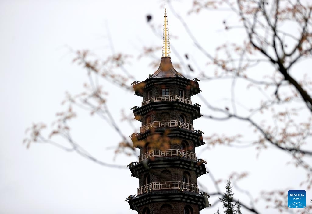 This photo taken on March 27, 2024 shows a view of the Great Pagoda at Kew Gardens in London, Britain.(Photo: Xinhua)