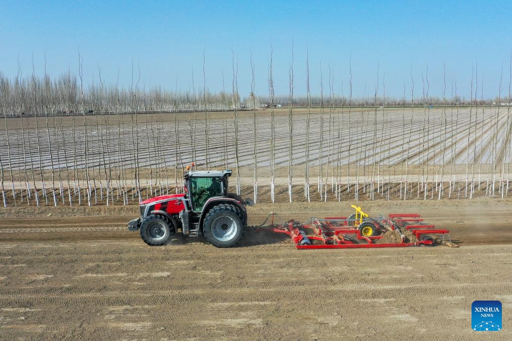 A drone photo shows a land grader working in the farmland in Awat County of Aksu, northwest China's Xinjiang Uygur Autonomous Region, March 26, 2024. Xinjiang is a major hub of cotton production. As the temperature rises, the spring sowing of cotton in Xinjiang kicked off from south to north. In recent years, advancements in agricultural technology have gradually become vital allies to the farmers of Xinjiang. From planting to harvesting, mechanization and intelligent facilities have been widely applied.(Photo: Xinhua)