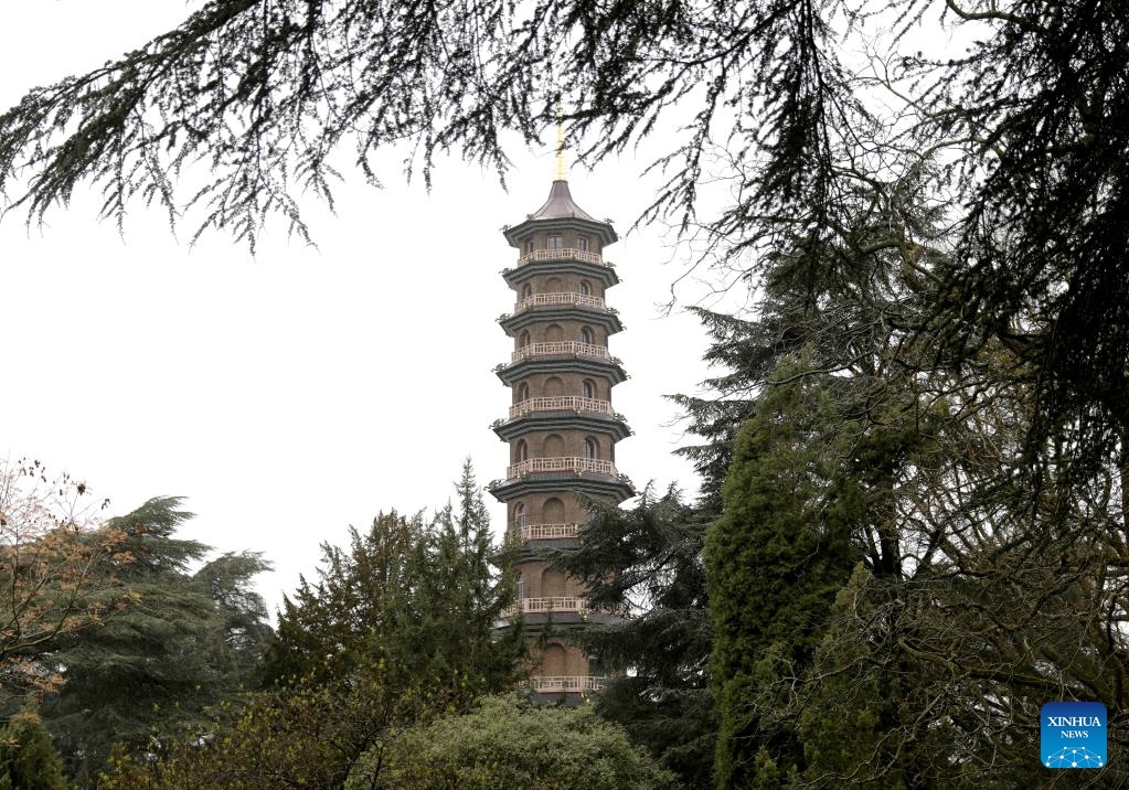 This photo taken on March 27, 2024 shows a view of the Great Pagoda at Kew Gardens in London, Britain.(Photo: Xinhua)
