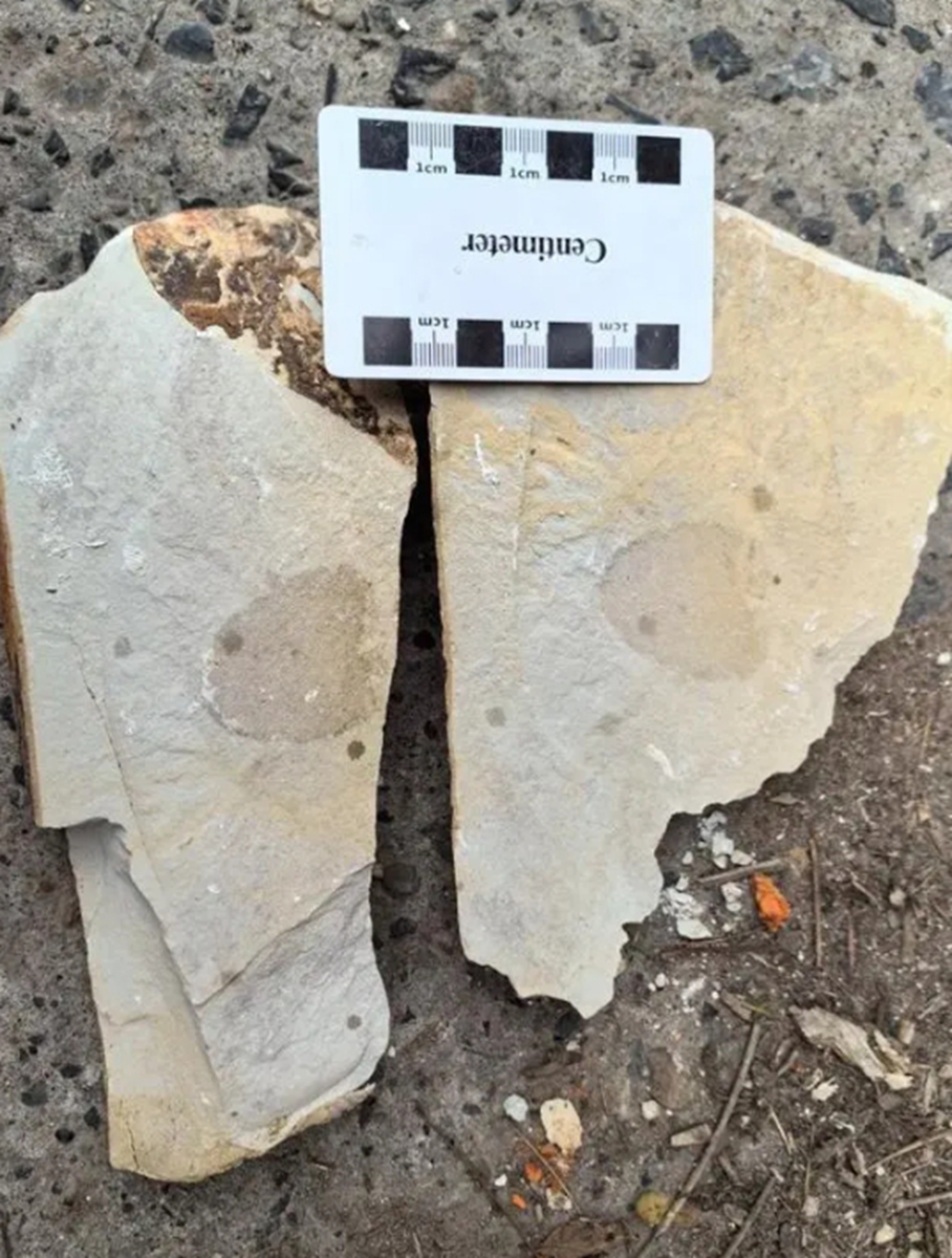 Photo: Courtesy of Hunan Museum of Geology