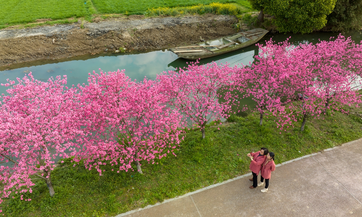 Tourists in Kunshan take a photo at Yangcheng Lake Wetland Park in Kunshan, East China's Jiangsu Province. Photo: VCG