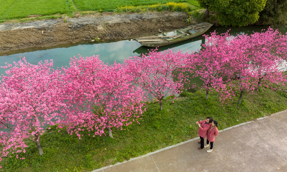 Tourists in Kunshan take a photo at Yangcheng Lake Wetland Park in Kunshan, East China's Jiangsu Province. Photo: VCG
