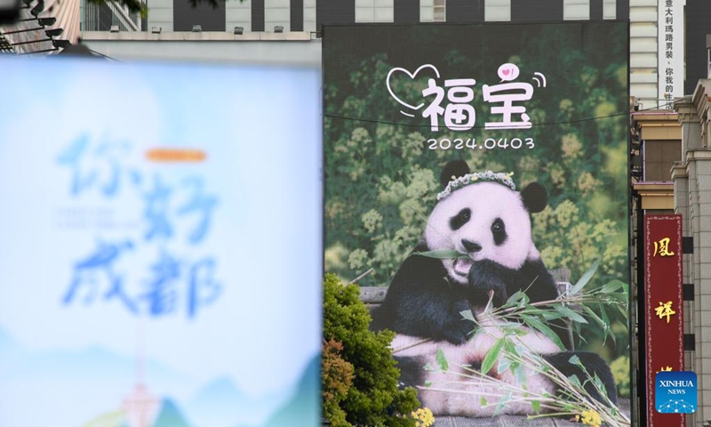 This photo taken on April 3, 2024 shows a screen with a photo of giant panda Fu Bao at a commercial street in Chengdu, southwest China's Sichuan Province. The chartered flight carrying the giant panda Fu Bao landed in Chengdu, Sichuan Province, at around 7:22 p.m. on Wednesday.(Photo: Xinhua)