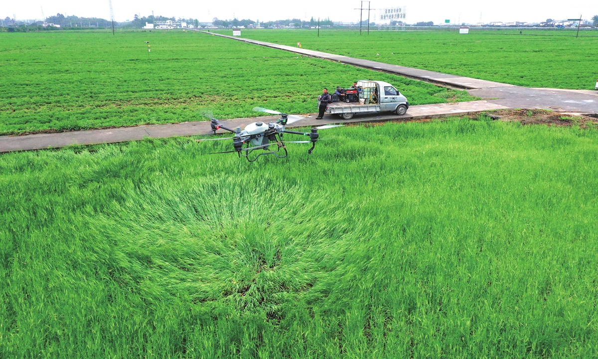 A technician operates a drone equipped with the BeiDou Navigation Satellite System to spray pesticides for winter wheat on April 6, 2024 in Meishan, Southwest China's Sichuan Province. Local authorities have actively guided farmers in connecting with specialized agricultural social service organizations to help lower production costs and elevate efficiency. As of the end of 2023,the number of agricultural machines installed with BeiDouterminals nationwide reached 2.2 million, and their operational efficiency and precision had reached an advanced level globally.
Photo: VCG