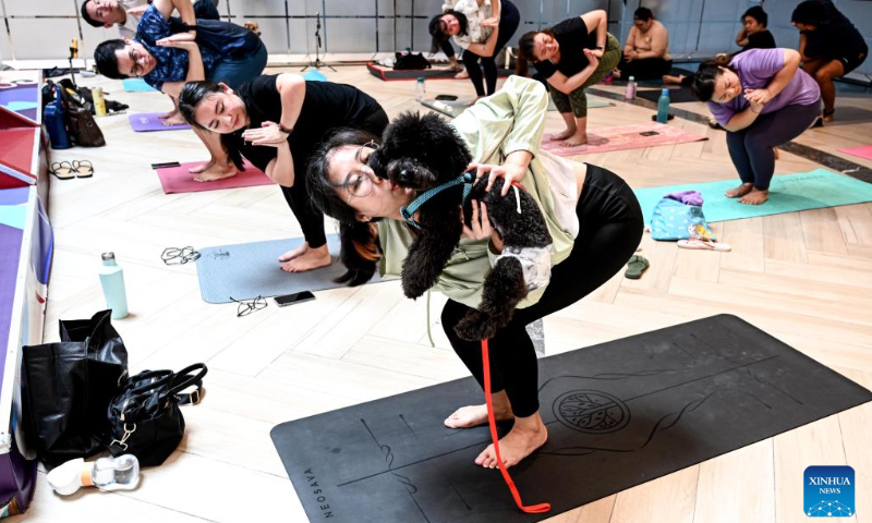 People practice yoga with dogs during a special yoga event in Jakarta, Indonesia, on April 20, 2024. (Xinhua/Agung Kuncahya B.)