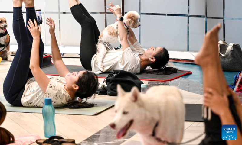 People practice yoga with dogs during a special yoga event in Jakarta, Indonesia, on April 20, 2024. (Xinhua/Agung Kuncahya B.)
