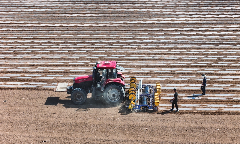 Farmers check the quality of cotton seeding conducted by a planter in the Changji Hui Autonomous Prefecture in Northwest China's Xinjiang Uygur Autonomous Region on April 11, 2024. The cotton planter is equipped with the BeiDou Navigation Satellite System, while the whole operation is carried out through mechanized work. The prefecture plans to grow 120,000 hectares of cotton in 2024.
Photo: VCG