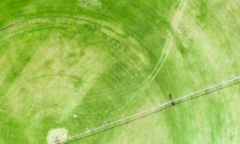 An aerial drone photo taken on April 12, 2024 shows circular fields in the suburb of Johannesburg, South Africa. (Xinhua/Zhang Yudong)