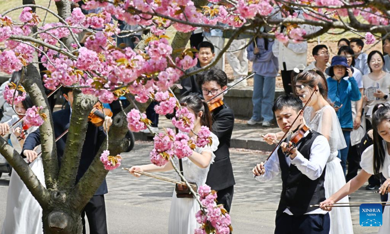 Students from the Ocean University of China perform under cherry blossoms in Qingdao, east China's Shandong Province, April 18, 2024.