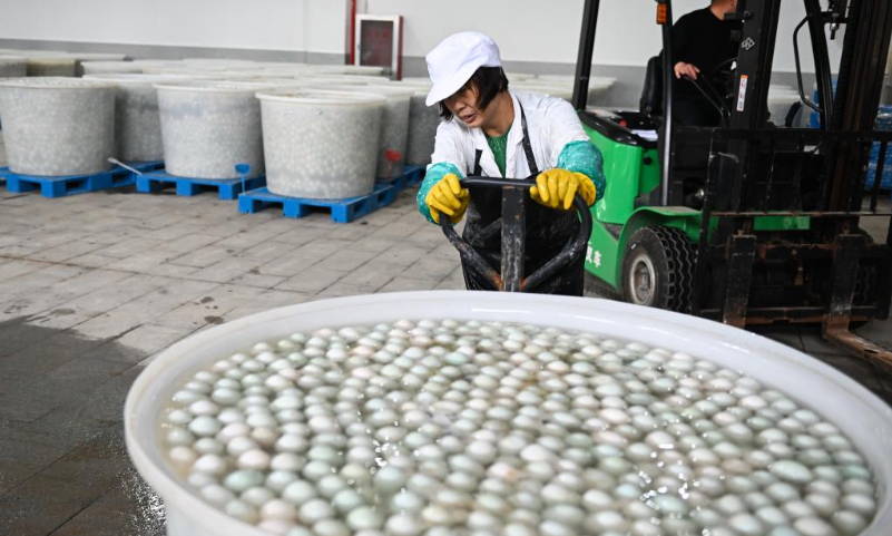 A worker transfers salted duck eggs at the production workshop of the Jiangsu Gaoyou Duck Co., Ltd. in Gaoyou City, east China's Jiangsu Province, April 19, 2024. The city of Gaoyou is well known for its duck eggs. Currently, the city has over 100 duck egg processing enterprises and its output value in 2023 stood at 1.85 billion yuan (about 255.51 million U.S. dollars). (Xinhua/Ji Chunpeng)