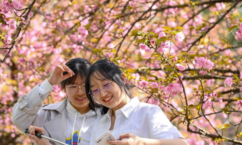 Tourists pose with flowers at the Qinglong Temple scenic area in Xi'an, northwest China's Shaanxi Province, March 31, 2024. Xi'an, one of the ancient capitals in Chinese history, is a popular tourist destination specially in this spring. It indulges visitors with the beauty of blossom flowers and immersive cultural experiences at the landmark cultural sites such as ancient city walls, Giant Wild Goose Pagoda, Qinglong Temple, Daming Palace National Heritage Park, etc. (Xinhua/Zou Jingyi)