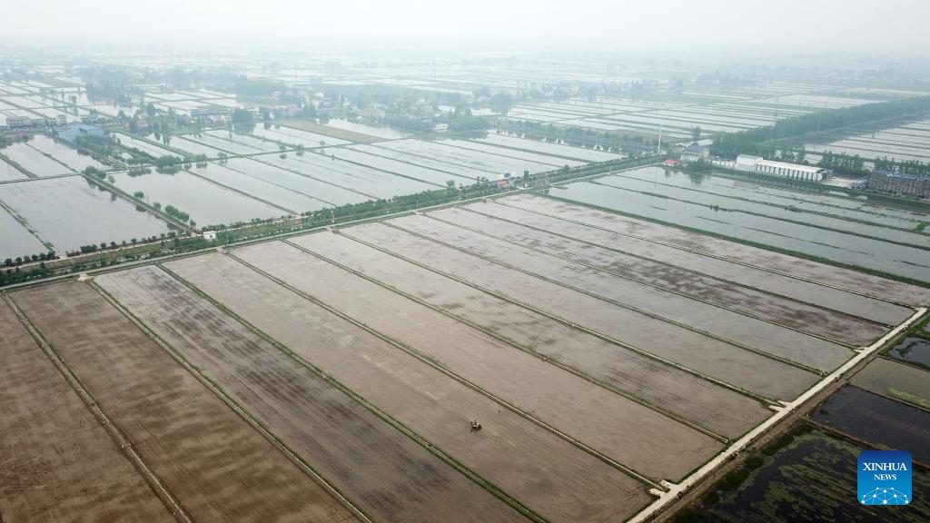 An aerial drone photo taken on April 10, 2024 shows an autonomous rice transplanter working at a smart planting base in Datonghu District of Yiyang City, central China's Hunan Province. The smart planting base in Datonghu District of Yiyang City started transplanting operations on Wednesday. With the help of a smart agricultural platform, staff members here are able to remotely create and control agricultural operations and conduct other agricultural procedures.(Photo: Xinhua)