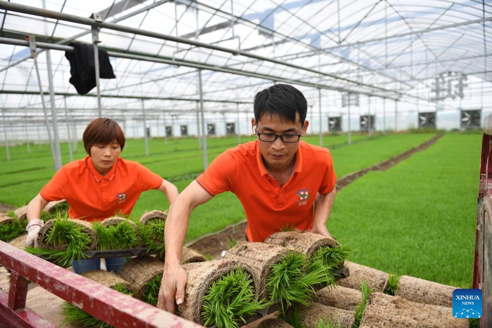 Staff members transport seedlings at a smart planting base in Datonghu District of Yiyang City, central China's Hunan Province, April 10, 2024. The smart planting base in Datonghu District of Yiyang City started transplanting operations on Wednesday. With the help of a smart agricultural platform, staff members here are able to remotely create and control agricultural operations and conduct other agricultural procedures(Photo: Xinhua)