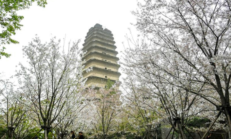 People view cherry blossoms by the Small Wild Goose Pagoda in Xi'an, northwest China's Shaanxi Province, March 27, 2024. Xi'an, one of the ancient capitals in Chinese history, is a popular tourist destination specially in this spring. It indulges visitors with the beauty of blossom flowers and immersive cultural experiences at the landmark cultural sites such as ancient city walls, Giant Wild Goose Pagoda, Qinglong Temple, Daming Palace National Heritage Park, etc. (Xinhua/Zou Jingyi)