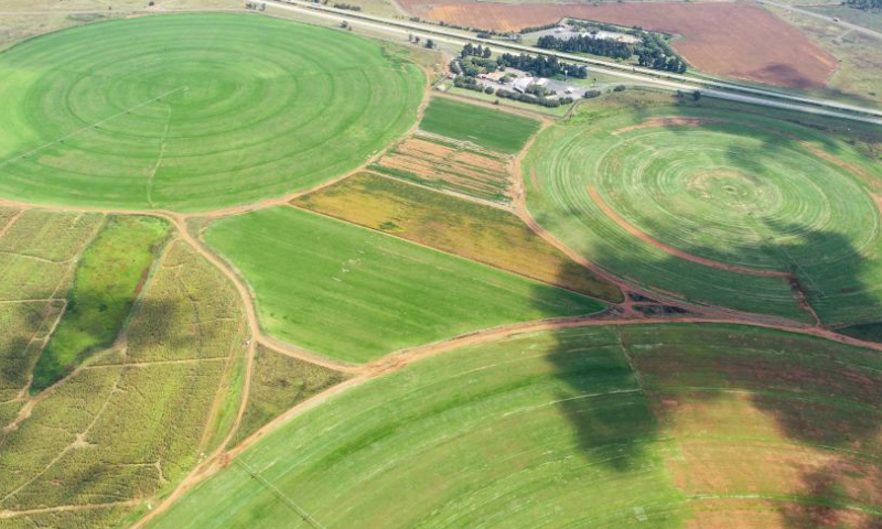 An aerial drone photo taken on April 12, 2024 shows circular fields in the suburb of Johannesburg, South Africa. (Xinhua/Zhang Yudong)