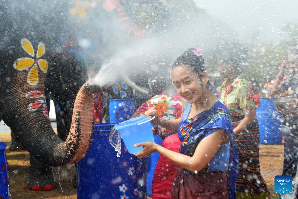 People and elephants splash water to each other to celebrate the upcoming Songkran Festival in Ayutthaya, Thailand, April 9, 2024. Songkran Festival, the traditional Thai New Year, is celebrated from April 13 to 15 every year, during which people express greetings by splashing water on each other.(Photo: Xinhua)