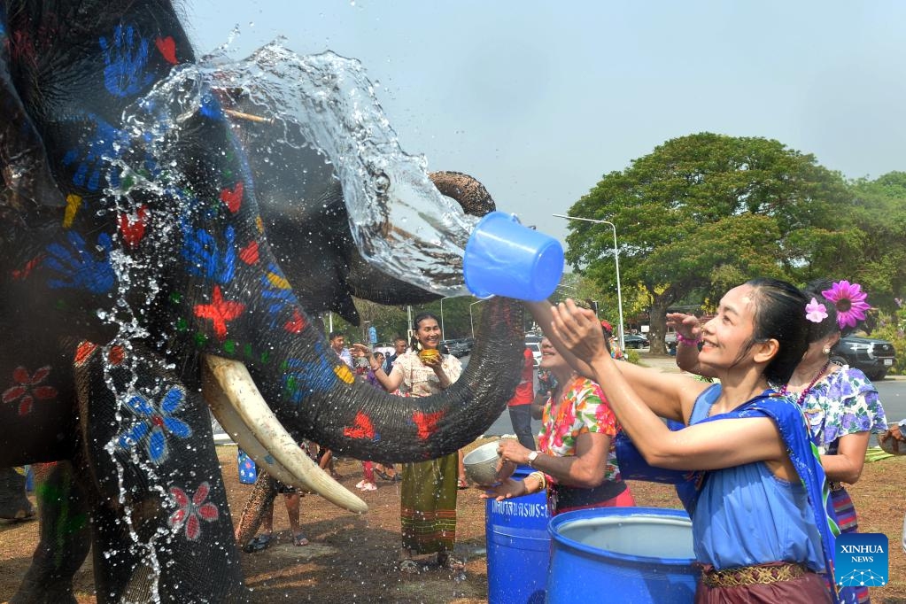 People and elephants splash water to each other to celebrate the upcoming Songkran Festival in Ayutthaya, Thailand, April 9, 2024. Songkran Festival, the traditional Thai New Year, is celebrated from April 13 to 15 every year, during which people express greetings by splashing water on each other.(Photo: Xinhua)