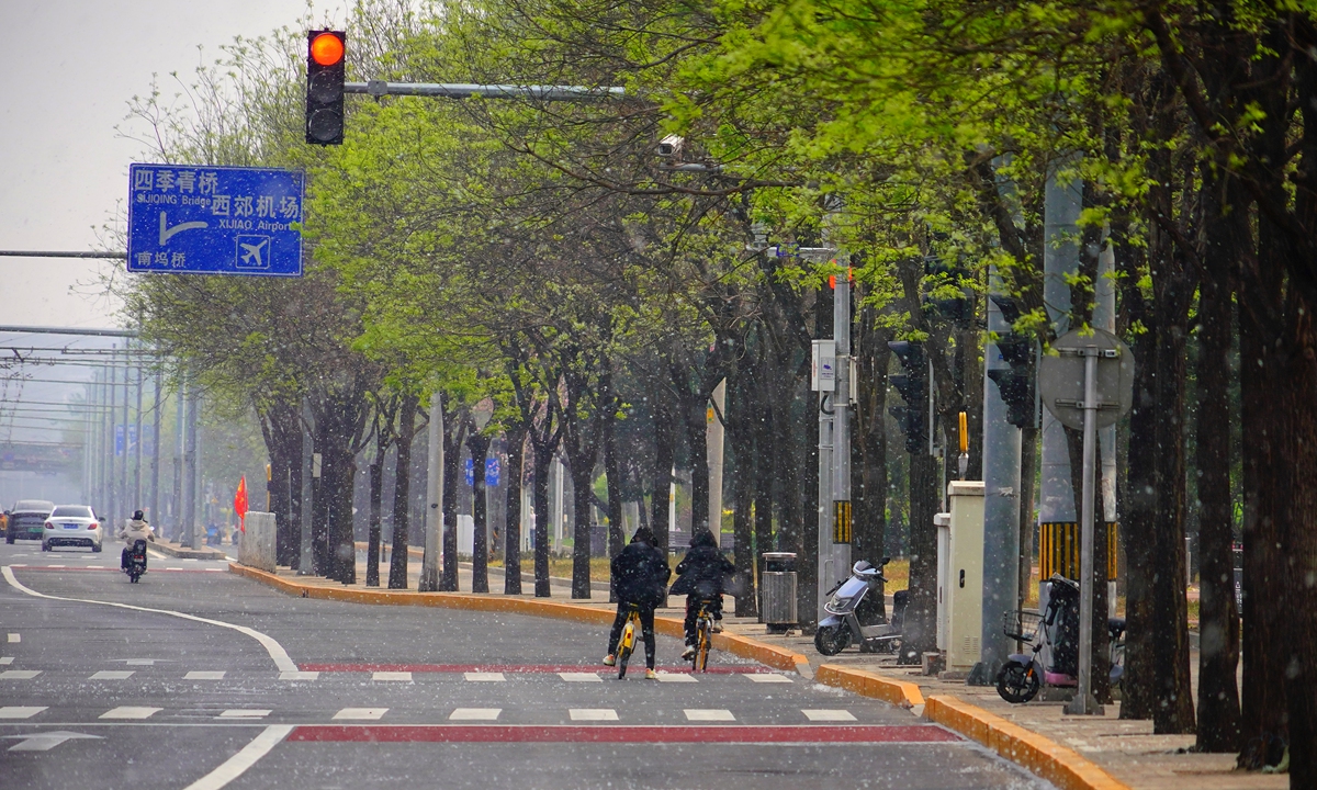 Beijing enters the peak poplar and willow catkins period on April 12, 2024. Photo: VCG