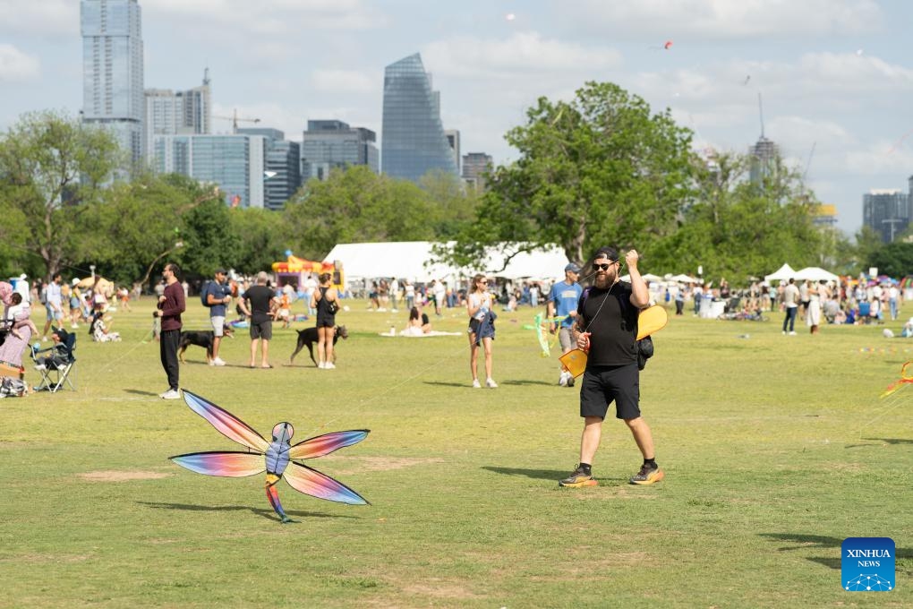 A man attempts to get his kite into the air at the annual ABC Kite Fest in Austin, Texas, the United States, April 14, 2024.(Photo: Xinhua)