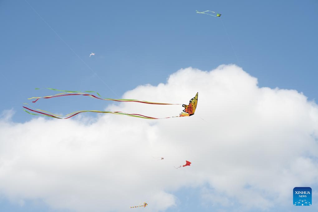 Kites fly in the sky at the annual ABC Kite Fest in Austin, Texas, the United States, on April 14, 2024.(Photo: Xinhua)