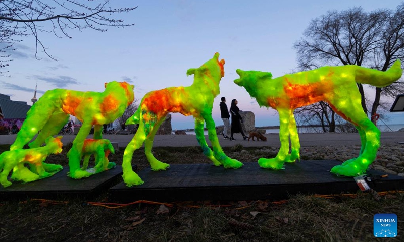 People walk past a light art installation during the Lumiere: The Art of Light exhibition in Toronto, Canada, on April 15, 2024. Featuring 17 light installations created by local artists, the outdoor light-based art exhibition is held here from March 12 to April 20.(Photo: Xinhua)