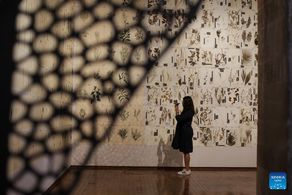 A woman visits the Atlas exhibition by artists Jan Hendrix of the Netherlands at the Citibanamex Culture Palace, in Mexico City, Mexico, on April 16, 2024.(Photo: Xinhua)