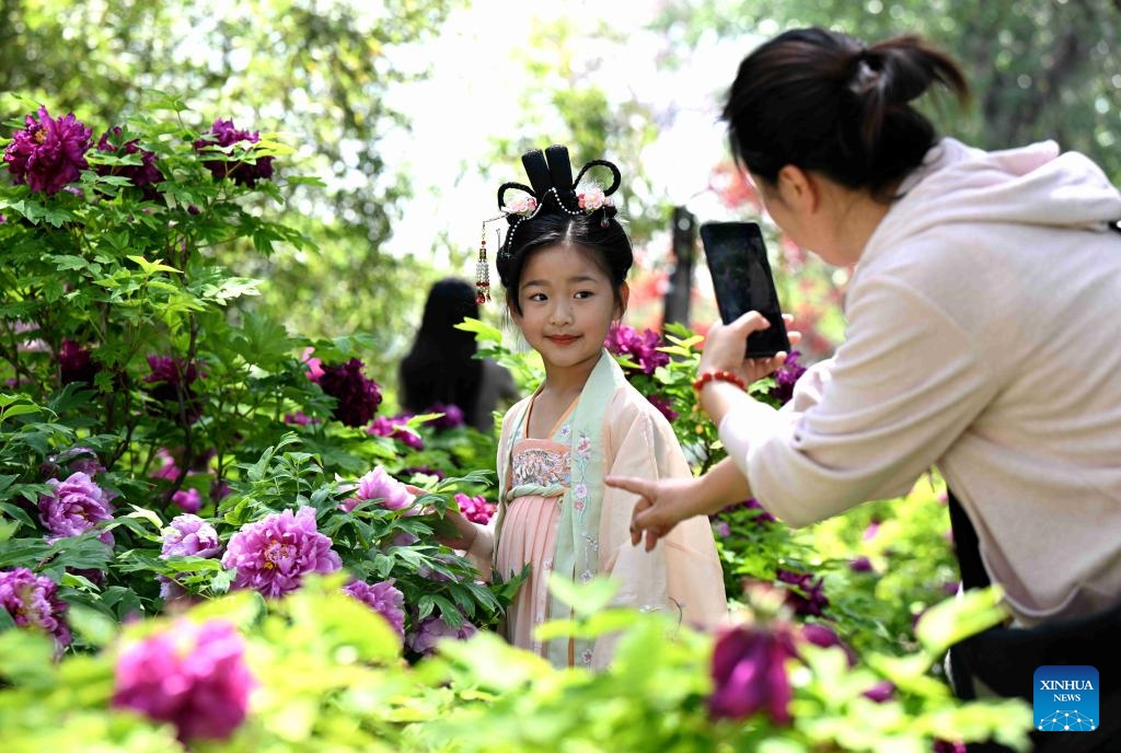 A little girl in traditional costume poses for pictures among blossoms in Zhengding County of Shijiazhuang, north China's Hebei Province, April 17, 2024.(Photo: Xinhua)