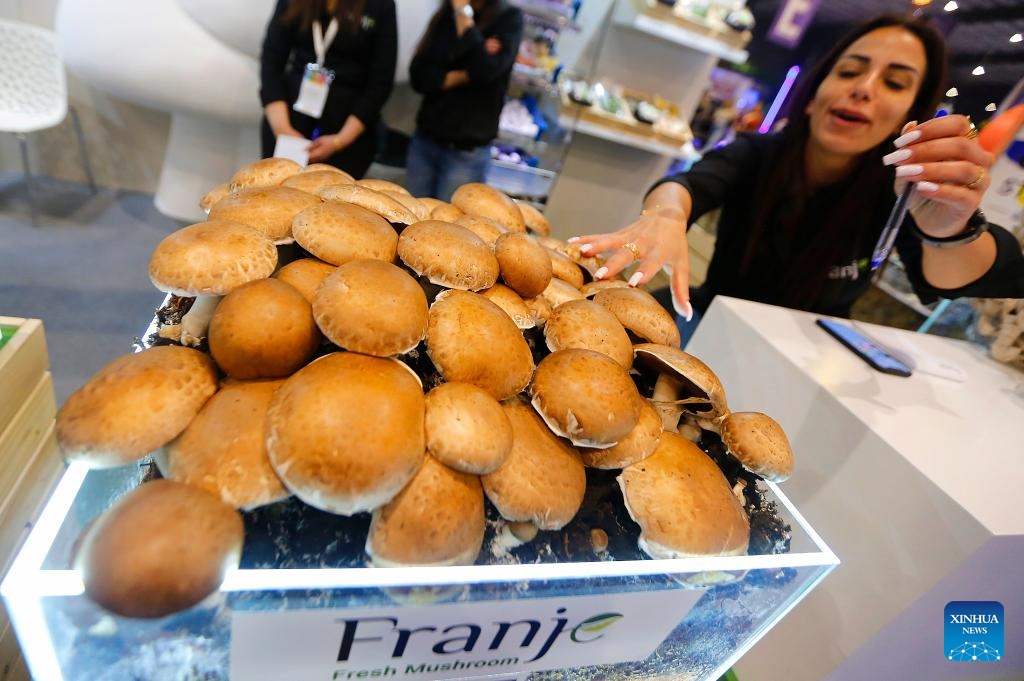 An exhibitor makes preparation for the 28th edition of HORECA Lebanon, an annual trade fair for the hospitality industry, in Beirut, Lebanon, on April 17, 2024. The event, held under the theme of embrace the future, kicked off here on April 16 and will last until April 19.(Photo: Xinhua)