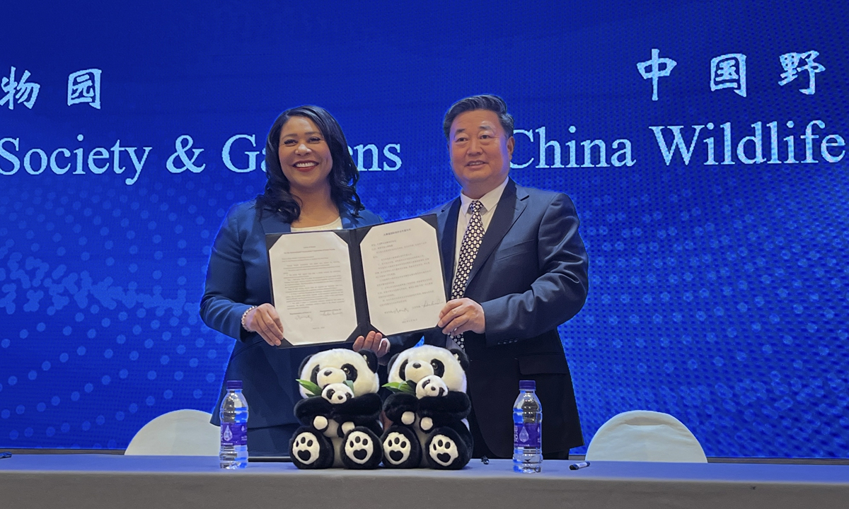 London Breed (left), Mayor of San Francisco and Wu Minglu, Secretary General of China Wildlife Conservation Association, hold up an agreement to lease giant pandas for the San Francisco Zoological Society and Gardens during a signing ceremony in Beijing on April 19, 2024. Photo: VCG