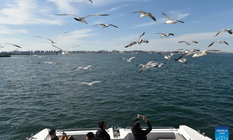 Tourists watch birds on a yacht in Dalian bay, northeast China's Liaoning Province, April 16, 2024.(Photo: Xinhua)