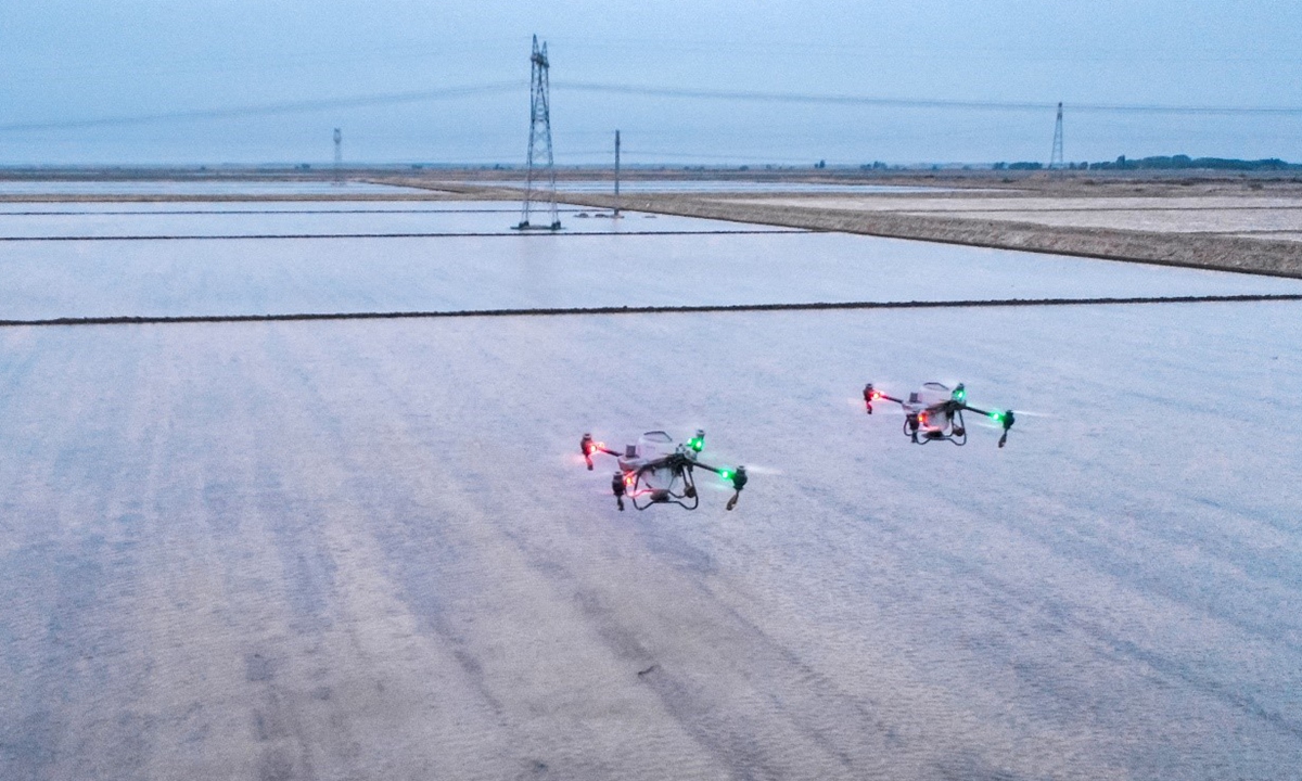 Drones plant rice in Liuyuan town of Aksu Prefecture, Xinjiang Uygur Autonomous Region on April 22, 2024. Photo: Zhou Peng of Xinjiang Daily