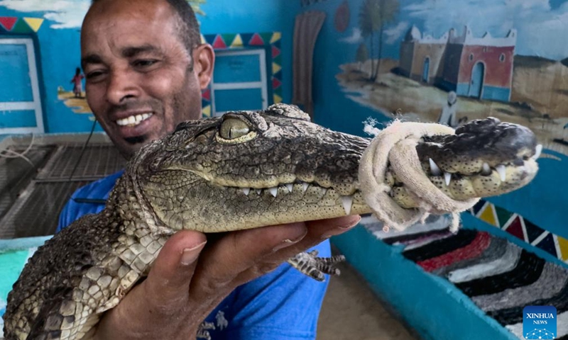 A crocodile breeder displays a crocodile inside his house at the Nubian village of Gharb Sohail in Aswan, Egypt, April 21, 2024. Raising crocodiles in the village of Gharb Sohail in Aswan is considered a popular ritual for locals to attract tourists. (Xinhua/Ahmed Gomaa)