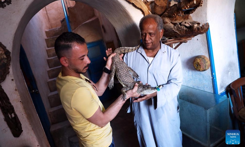 Crocodile breeders display a crocodile inside his house at the Nubian village of Gharb Sohail in Aswan, Egypt, April 21, 2024. Raising crocodiles in the village of Gharb Sohail in Aswan is considered a popular ritual for locals to attract tourists. (Xinhua/Ahmed Gomaa)