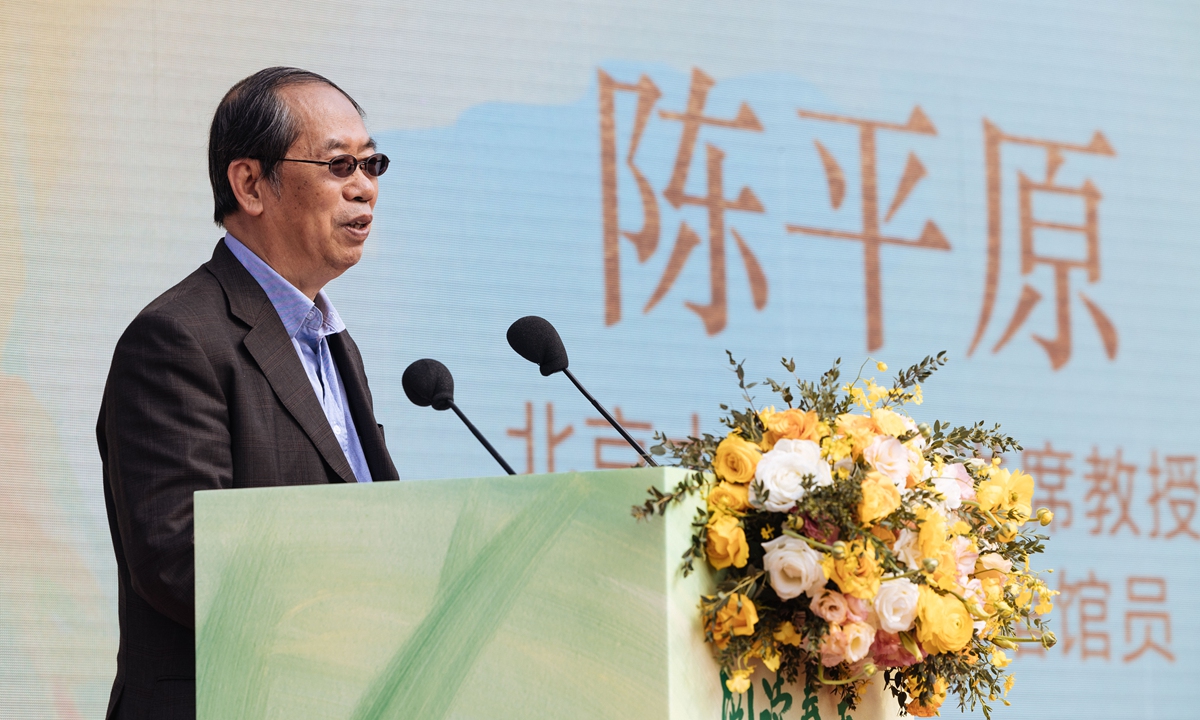 Chen Pingyuan, Boya chair professor at Peking University and researcher at the China Central Institute for Culture and History