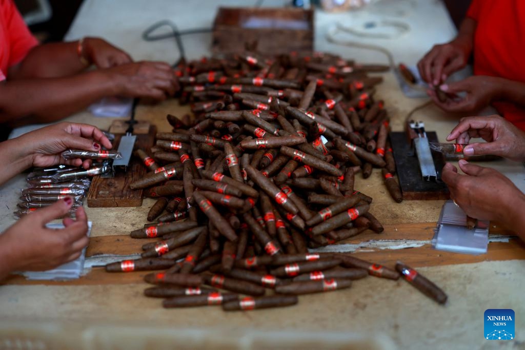 Workers package cigars at a cigar factory in Temanggung, Central Java, Indonesia, on April 22, 2024.(Photo; Xinhua)
