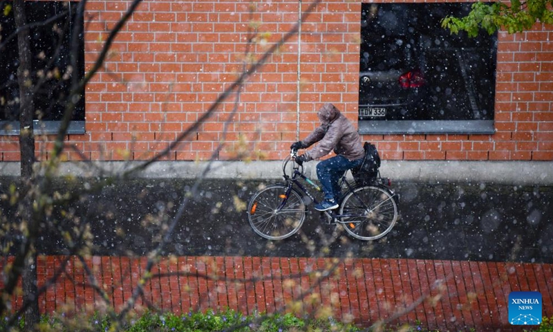 A person rides a bicycle amid snow in Goettingen, Germany, April 22, 2024.(Photo; Xinhua)