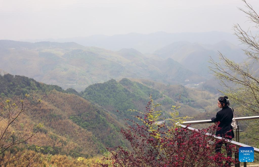 A tourist looks over a vast bamboo forest at Bailu Village of Luting Township, Yuyao City, east China's Zhejiang Province, April 13, 2024. Sticking to the concept of lucid waters and lush mountains are invaluable assets, Luting Township has taken local environment as an advantage to develop ecological industry and to promote the countryside tourism.(Photo: Xinhua)
