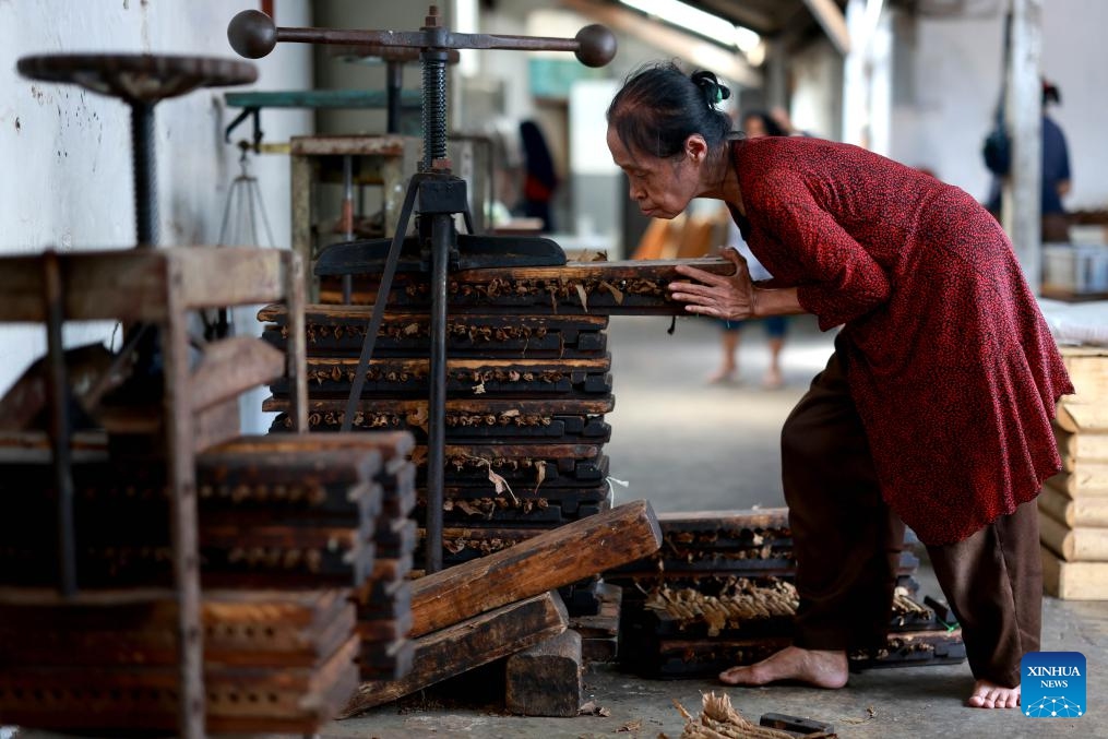 A worker uses manual tools to make cigars at a cigar factory in Temanggung, Central Java, Indonesia, on April 22, 2024.(Photo; Xinhua)