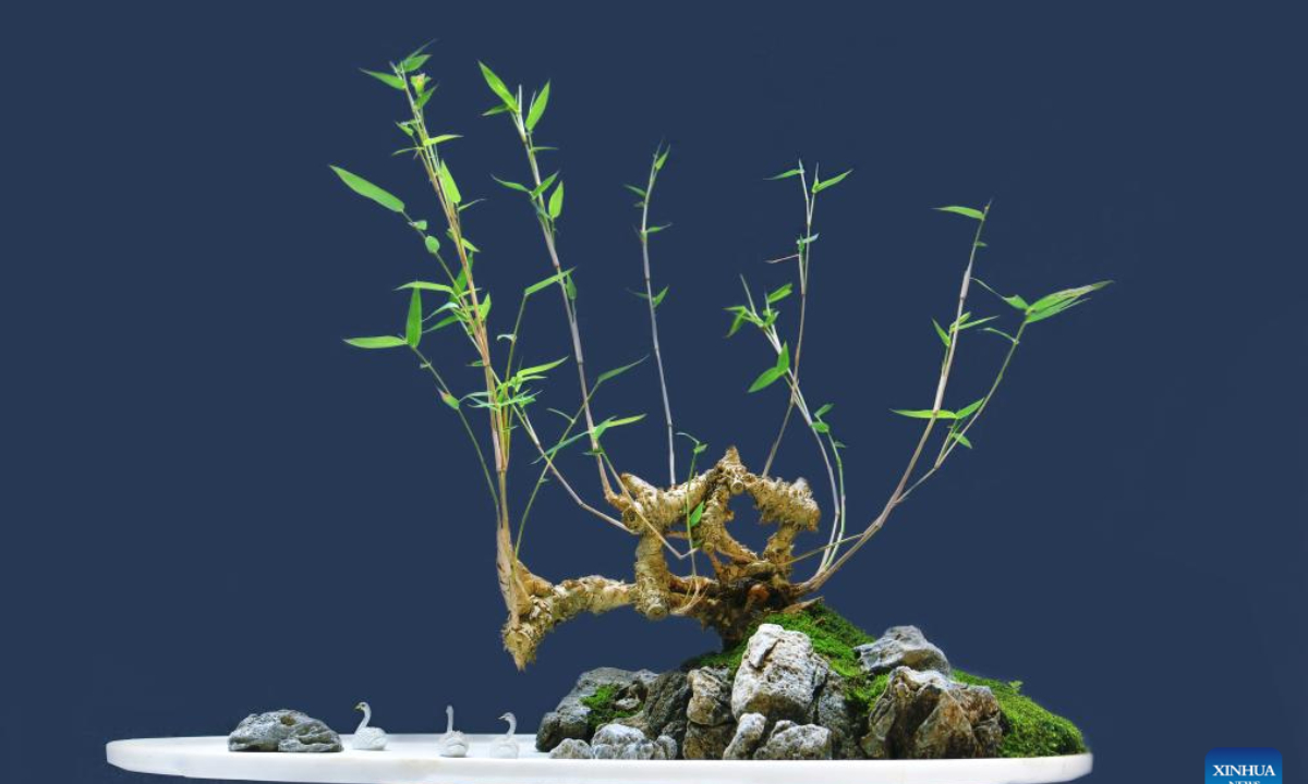 This undated file photo shows a bonsai work of Chad Sinclair. Hailing from Vancouver in Canada, Chad Sinclair, 46, has lived in China for over 20 years and is deeply fond of Sichuan bonsai, one of the four major traditional bonsai schools in China. Photo:Xinhua