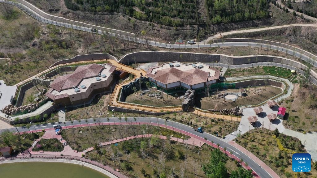 This aerial drone photo taken on April 25, 2024 shows the panda houses at Lanzhou Wild Animal Park in Lanzhou, capital of northwest China's Gansu Province. Four giant pandas that have moved to their new home in Lanzhou made their public debut there on Thursday. The pandas, three males and one female, arrived at Lanzhou Wild Animal Park on April 2 from the China Conservation and Research Center for Giant Pandas in the neighboring Sichuan Province.(Photo: Xinhua)