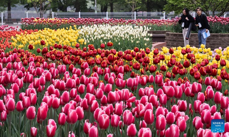 People visit the International Horticulture Goyang Korea (IHK) 2024 at Ilsan lake park in Goyang, South Korea, April 25, 2024. The IHK 2024, one of the representative international flower exhibitions in South Korea, is held here from April 26 to May 12 this year under the theme of Flower in the Earth.(Photo: Xinhua)