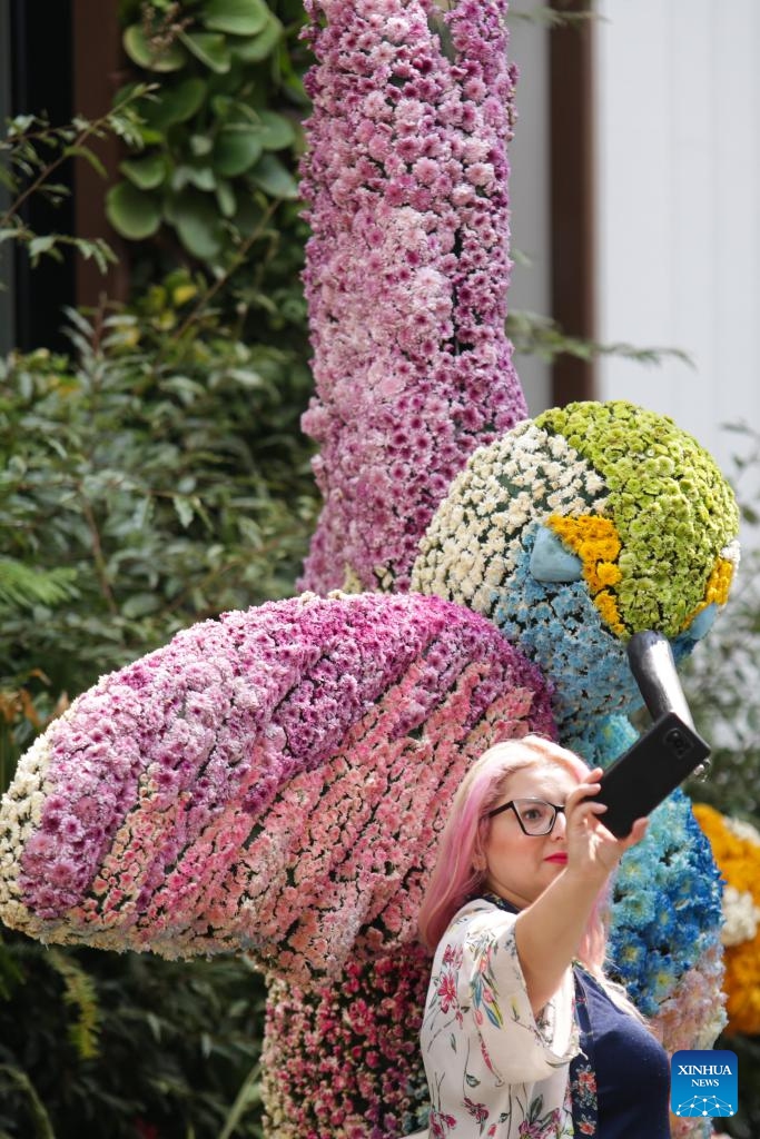 A tourist poses for a selfie with a flower-decorated installation during the Flowers and Gardens Festival in Mexico City, Mexico, April 26, 2024.(Photo: Xinhua)