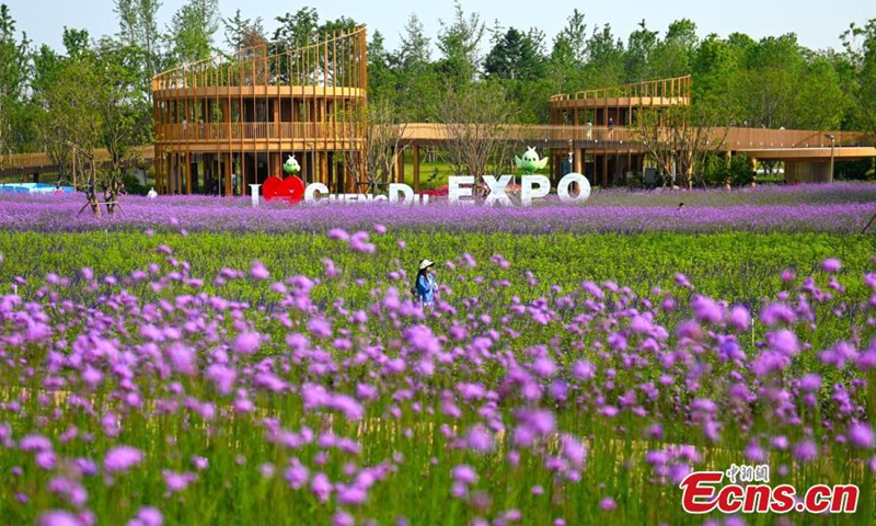 People visit the International Horticultural Exhibition 2024 Chengdu, southwest China's Sichuan Province, April 27, 2024. Photo: China News Service
