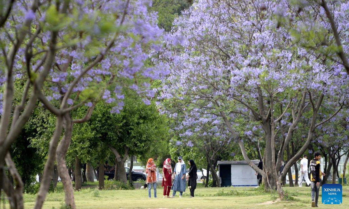 People enjoy leisure time under blooming jacaranda trees in Islamabad, Pakistan on May 2, 2024. (Xinhua/Ahmad Kamal)



