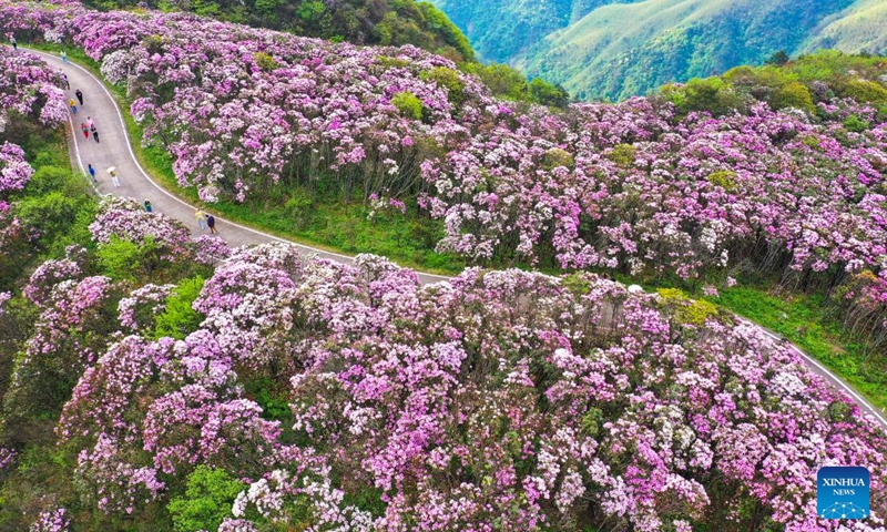 An aerial drone photo taken on April 26, 2024 shows tourists enjoying the spring scenery at a national forest park in Yongzhou City, central China's Hunan Province. Photo: Xinhua