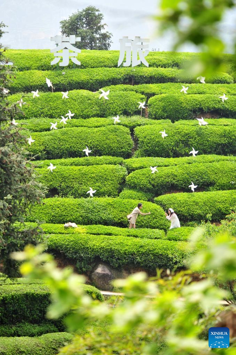 Tourists visit a tea garden in Dengcun Township of Yichang City, central China's Hubei Province, April 27, 2024. Photo: Xinhua